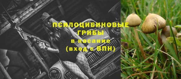 гидропоника Ростов